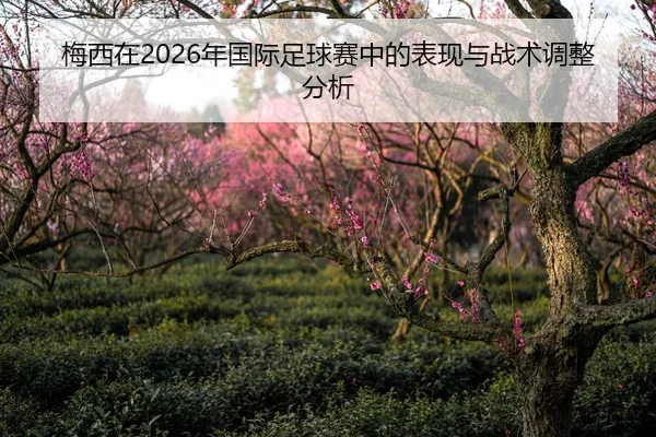 梅西在2026年国际足球赛中的表现与战术调整分析