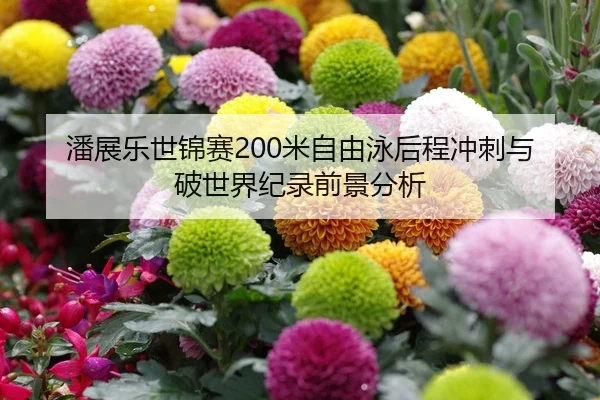 潘展乐世锦赛200米自由泳后程冲刺与破世界纪录前景分析
