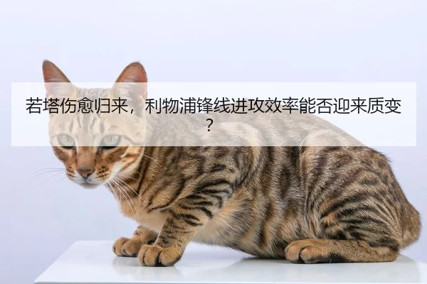 若塔伤愈归来，利物浦锋线进攻效率能否迎来质变？