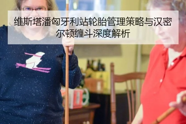 维斯塔潘匈牙利站轮胎管理策略与汉密尔顿缠斗深度解析